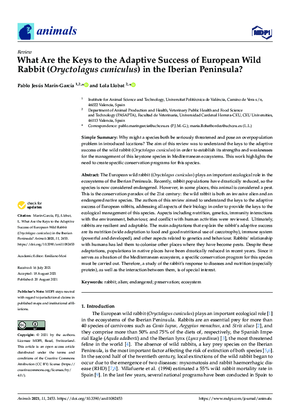 (PDF) What Are the Keys to the Adaptive Success of European Wild Rabbit ...