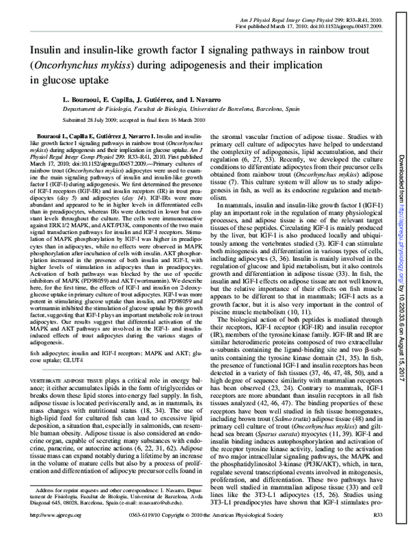 (PDF) Insulin and insulin-like growth factor I signaling pathways in ...