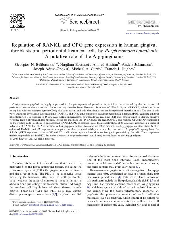 (PDF) Regulation of RANKL and OPG gene expression in human gingival ...