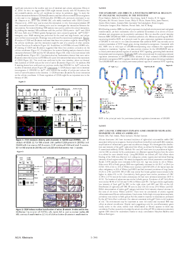 Sa1664 - The Lin28B-Imp1 Axis Directs a Post-Transcriptional Regulon of Oncogenic Signaling in the Intestine