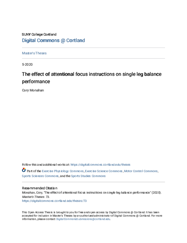 (PDF) The Effect of Attentional Focus Instructions on Single Leg ...
