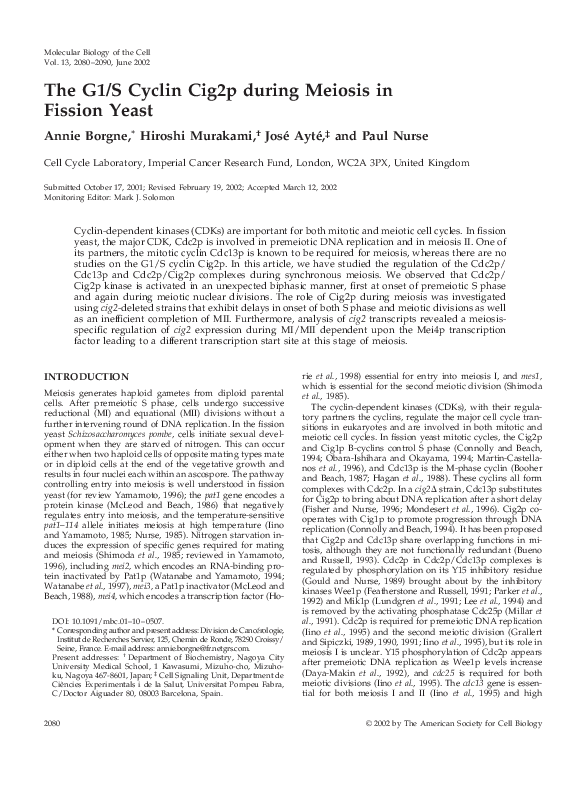 (PDF) The G1/S cyclin Cig2p during meiosis in fission yeast