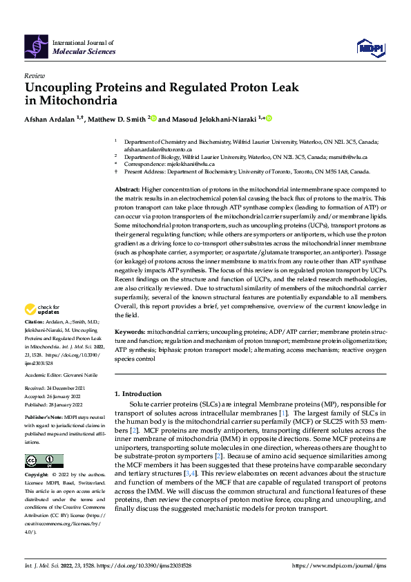 (PDF) Uncoupling Proteins and Regulated Proton Leak in Mitochondria