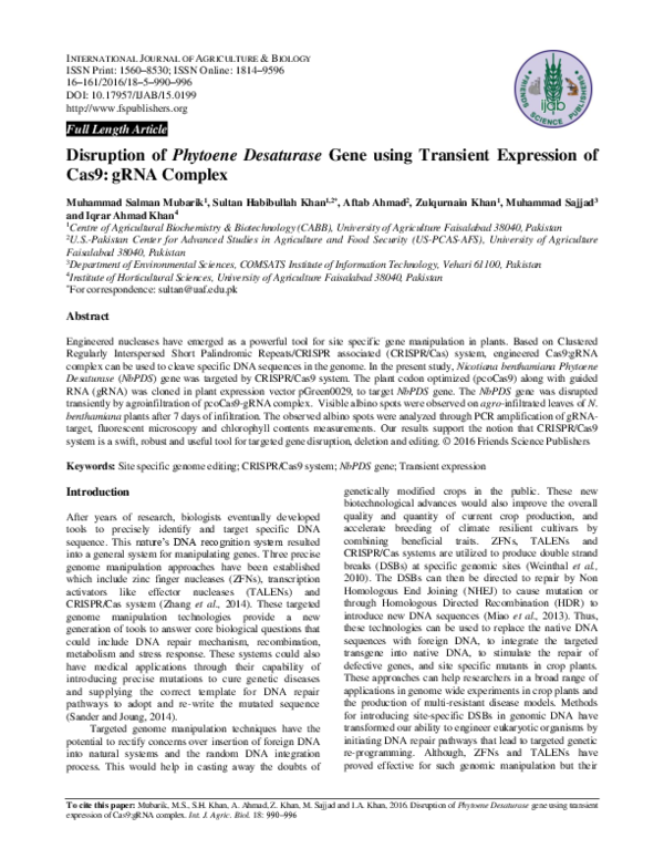 (PDF) Disruption of Phytoene Desaturase Gene using Transient Expression ...