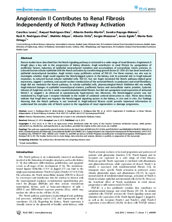 (PDF) Angiotensin II Contributes to Renal Fibrosis Independently of ...