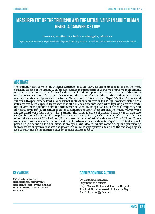 (PDF) Measurement of the Tricuspid and the Mitral Valve in Adult Human ...
