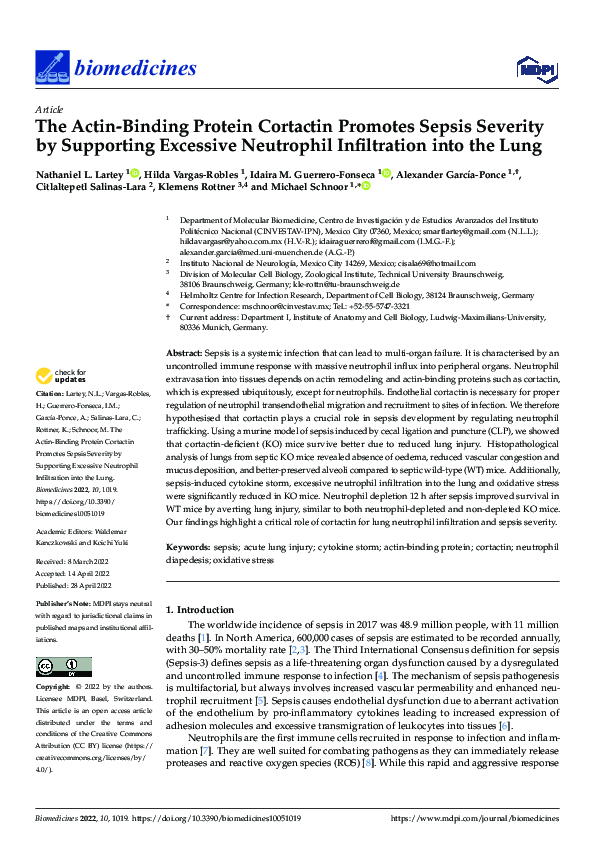 (PDF) The Actin-Binding Protein Cortactin Promotes Sepsis Severity by ...