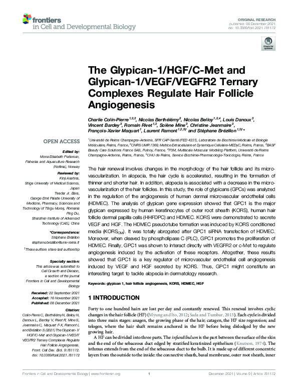 The Glypican-1/HGF/C-Met and Glypican-1/VEGF/VEGFR2 Ternary Complexes Regulate Hair Follicle Angiogenesis