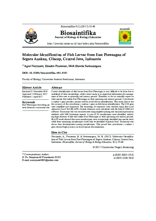 (PDF) Molecular Identification of Fish Larvae from East Plawangan of Segara Anakan, Cilacap