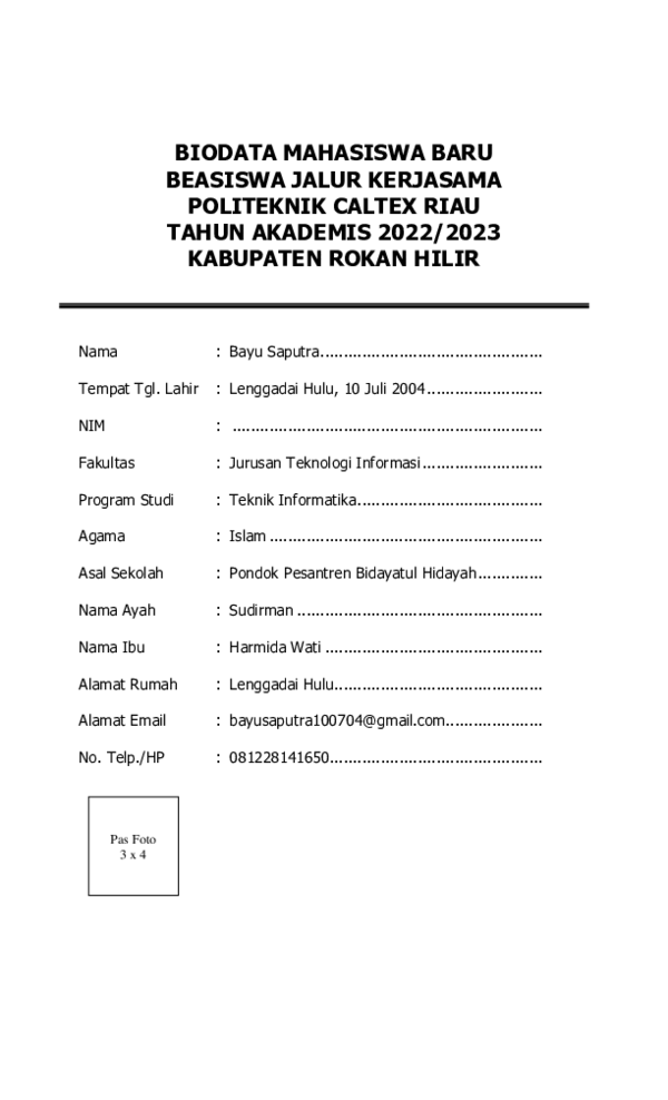 (PDF) BIODATA MAHASISWA BEASISWA PCR ROHIL 2022 salinan | Bayu Saputra ...