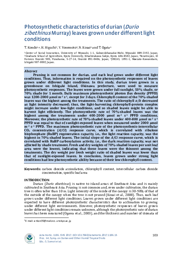 (PDF) Photosynthetic characteristics of durian (Durio zibethinusMurray ...