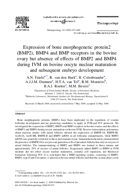 (PDF) Expression of bone morphogenetic protein2 (BMP2), BMP4 and BMP ...
