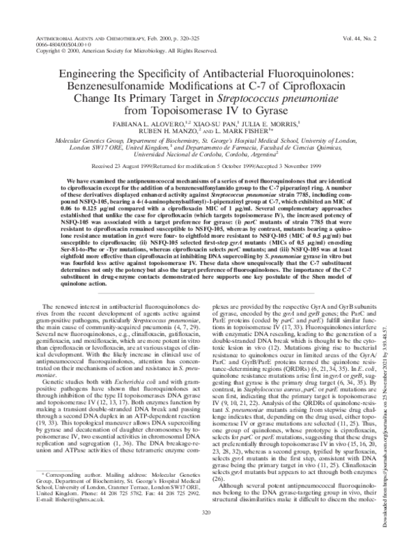 (PDF) Engineering the Specificity of Antibacterial Fluoroquinolones ...