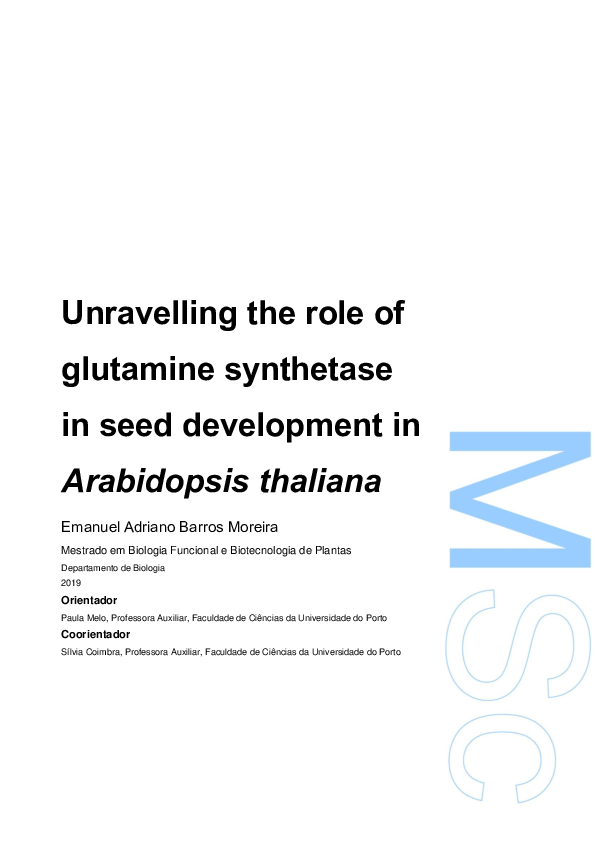 (PDF) Unravelling the role of glutamine synthetase in seed development ...