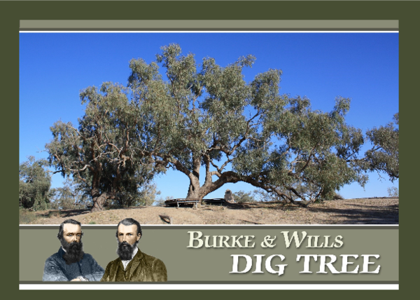 (PDF) Burke and Wills Dig Tree: an illustrated guide