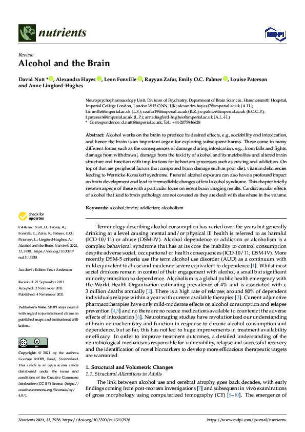 (PDF) Alcohol and the Brain
