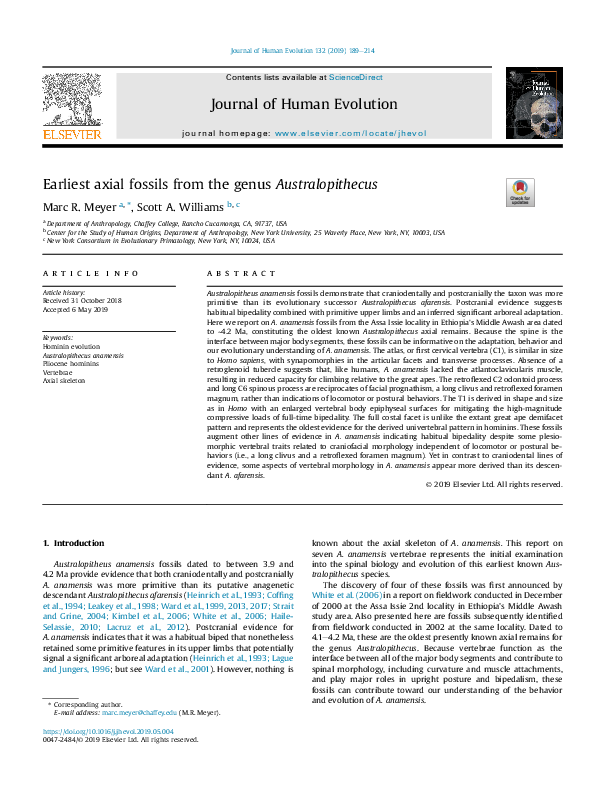 (PDF) Earliest axial fossils from the genus Australopithecus