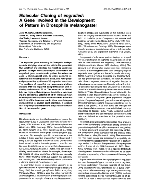 (PDF) Molecular cloning of engrailed: a gene involved in the ...