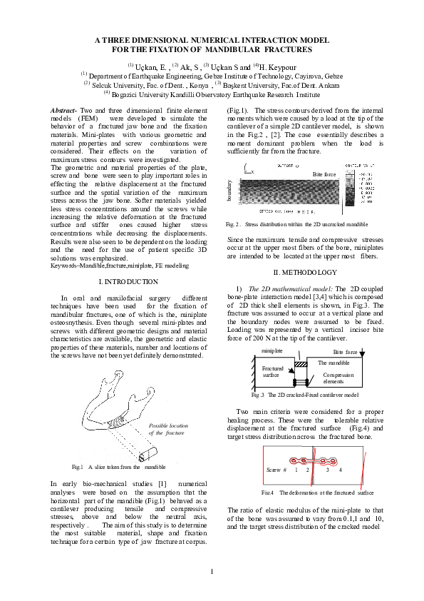 (PDF) A three dimensional numerical interaction model for the fixation ...