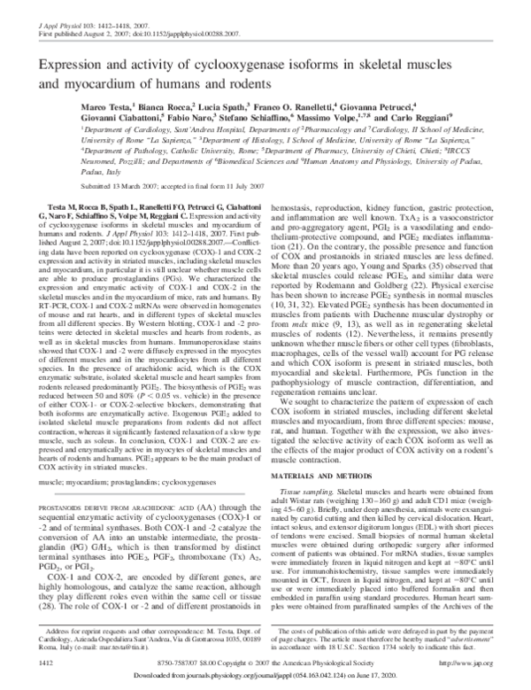 (PDF) Expression and activity of cyclooxygenase isoforms in skeletal ...