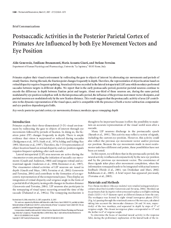 (PDF) Postsaccadic activities in the posterior parietal cortex of ...