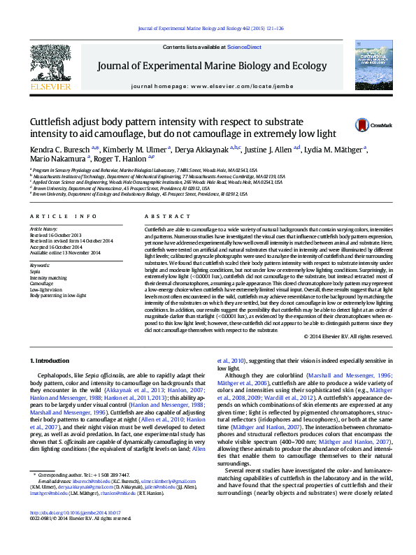 (PDF) Cuttlefish adjust body pattern intensity with respect to ...