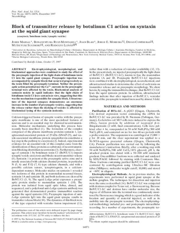 (PDF) Block of transmitter release by botulinum C1 action on syntaxin ...