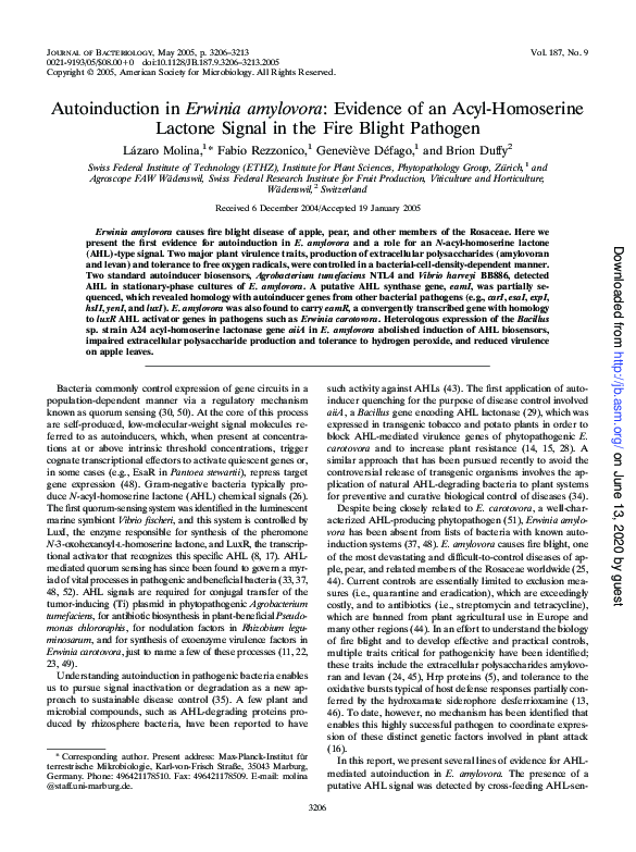 (PDF) Autoinduction in Erwinia amylovora: Evidence of an Acyl ...