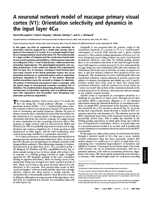 (PDF) A neuronal network model of macaque primary visual cortex (V1 ...