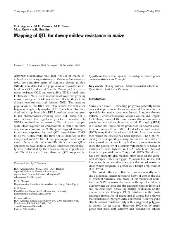(PDF) Mapping of QTL for downy mildew resistance in maize