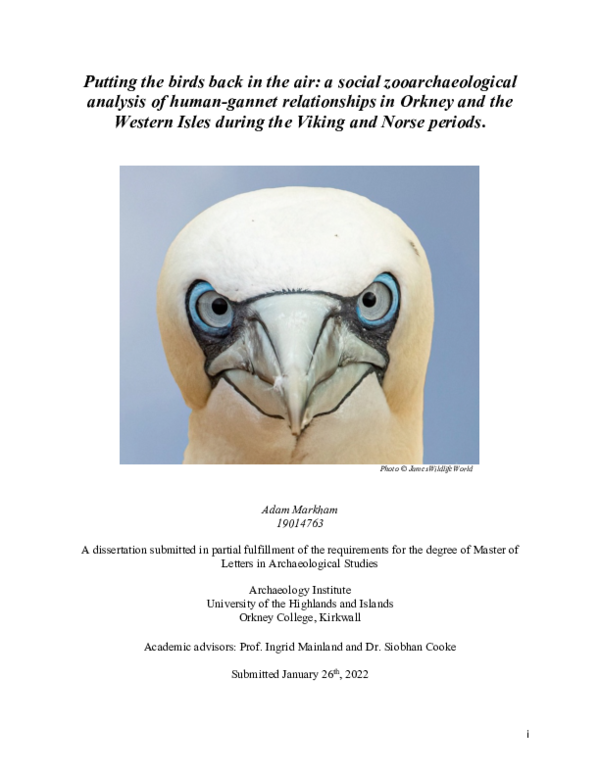 (PDF) Gannets in the Viking World Adam Markham