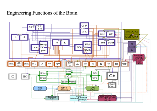 (DOC) Engineering Functions of the Brain