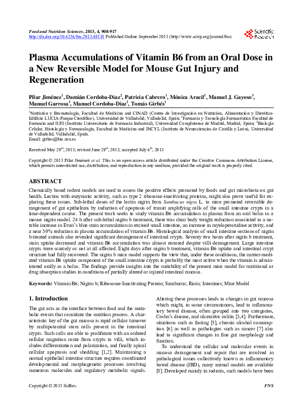 (PDF) Plasma Accumulations of Vitamin B6 from an Oral Dose in a New