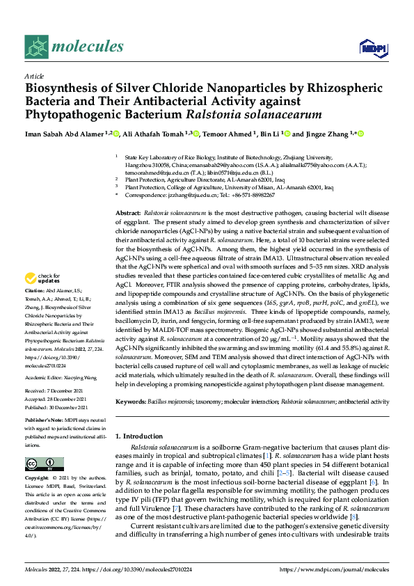 (PDF) Biosynthesis of Silver Chloride Nanoparticles by Rhizospheric ...