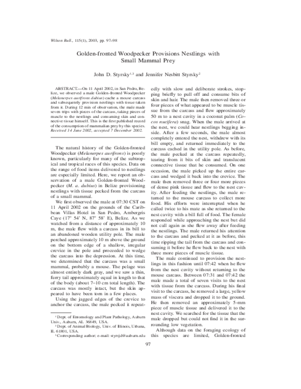 (PDF) Golden-fronted Woodpecker Provisions Nestlings with Small Mammal