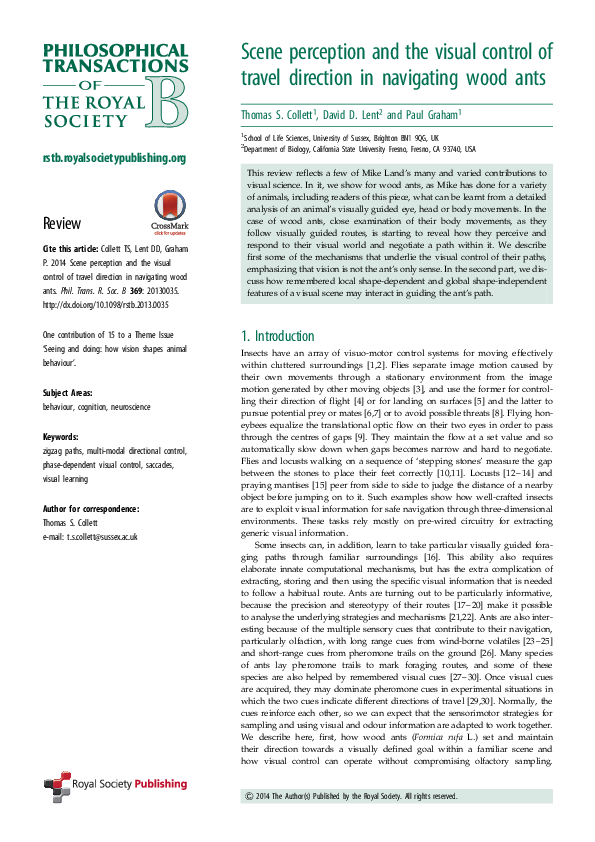 (PDF) Scene perception and the visual control of travel direction in ...