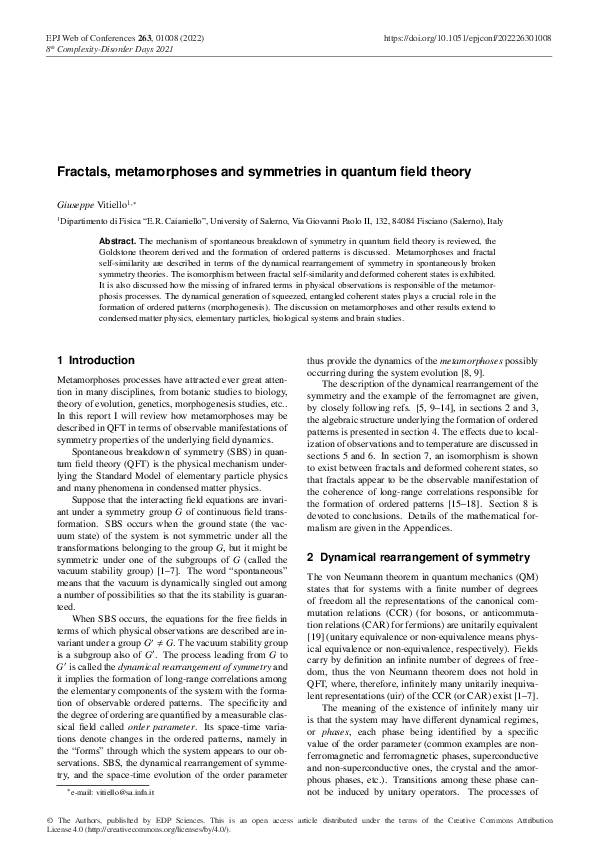 (PDF) Fractals, metamorphoses and symmetries in quantum field theory