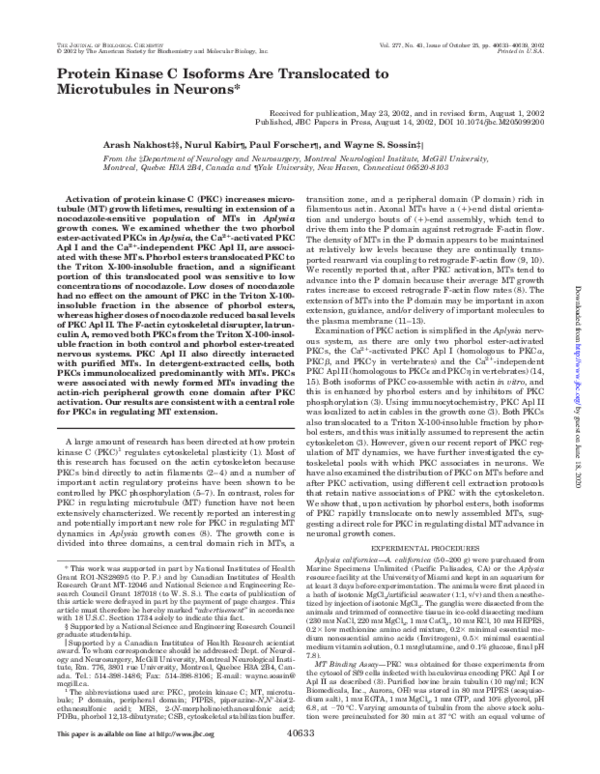 (PDF) Protein Kinase C Isoforms Are Translocated to Microtubules in ...