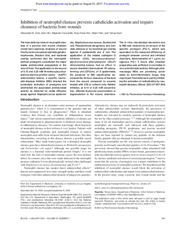 (PDF) Inhibition of neutrophil elastase prevents cathelicidin ...
