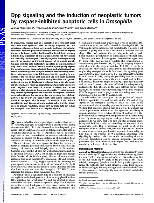 (PDF) Dpp signaling and the induction of neoplastic tumors by caspase ...