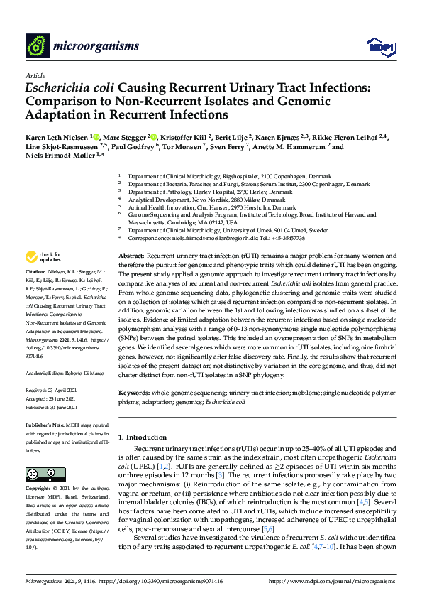 (PDF) Escherichia coli Causing Recurrent Urinary Tract Infections ...