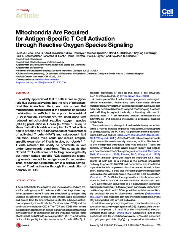 (PDF) Mitochondria Are Required for Antigen-Specific T Cell Activation ...