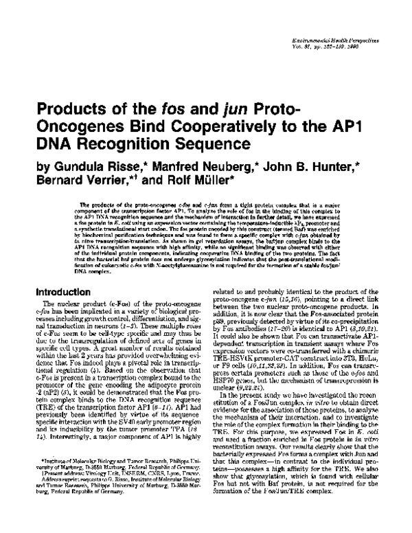 (PDF) Products of the fos and jun Proto-Oncogenes Bind Cooperatively to ...