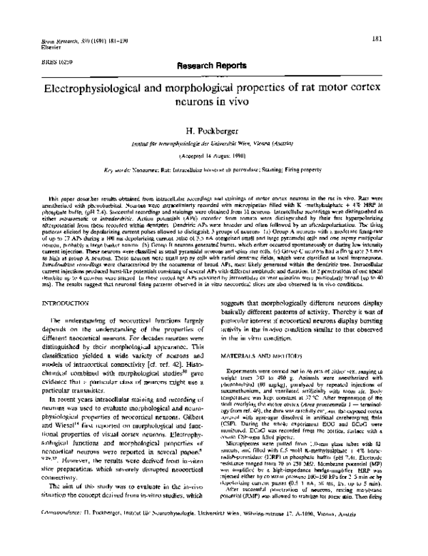(PDF) Electrophysiological and morphological properties of rat motor ...