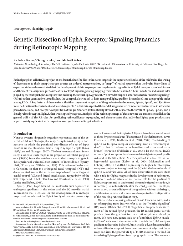 (PDF) Genetic Dissection of EphA Receptor Signaling Dynamics during ...