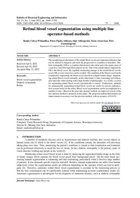 (PDF) Retinal blood vessel segmentation using multiple line operator ...