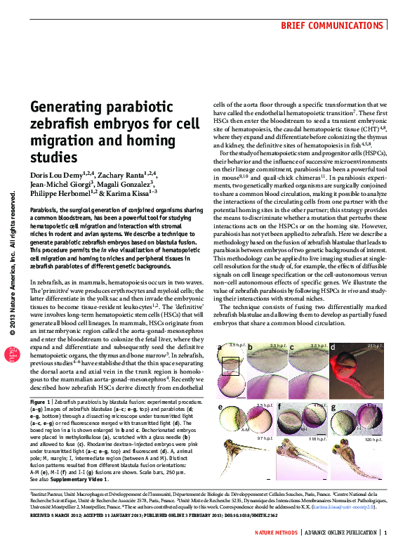 (PDF) Generating parabiotic zebrafish embryos for cell migration and ...