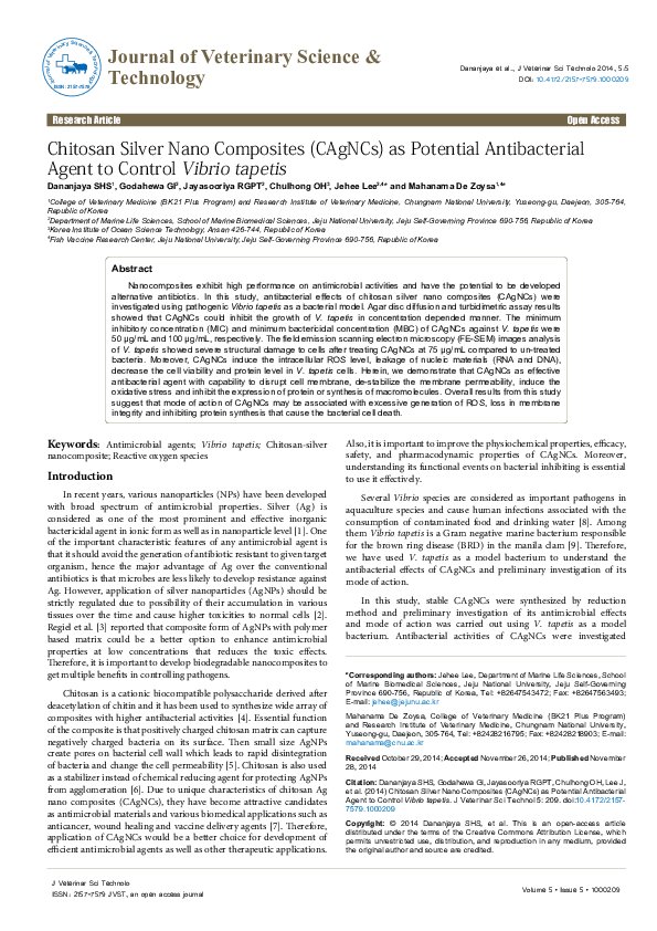 (PDF) Chitosan Silver Nano Composites (Cagncs) as Potential ...