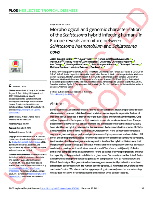 (PDF) Morphological and genomic characterisation of the Schistosoma ...