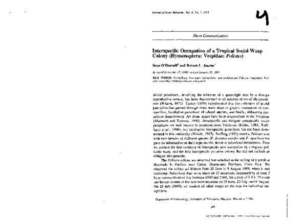 (PDF) Interspecific occupation of a tropical social wasp colony ...